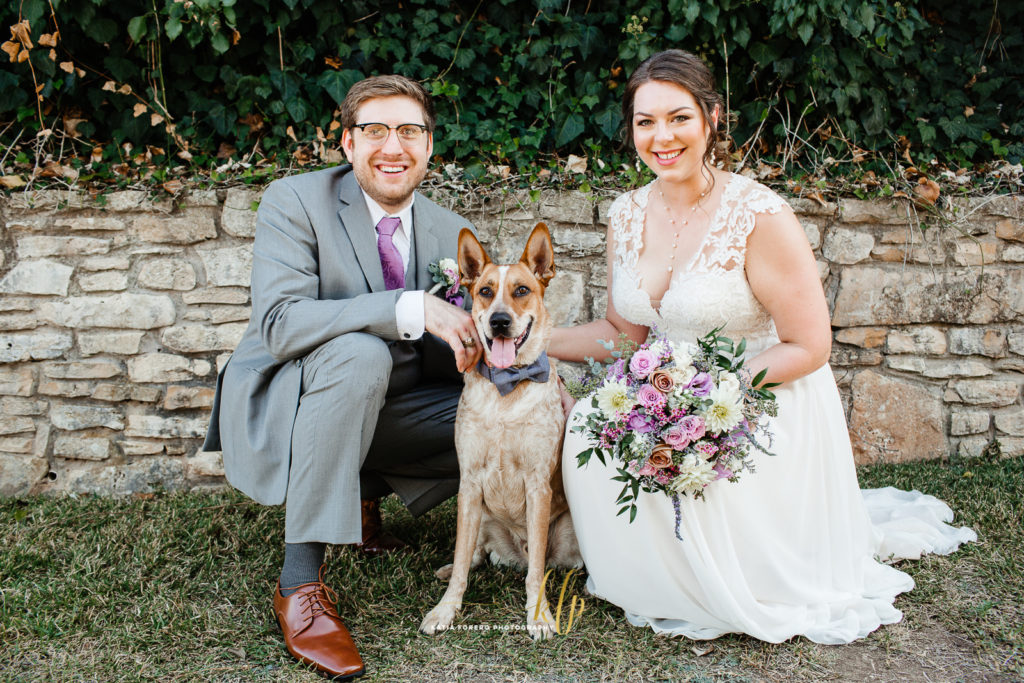 dogs weddings