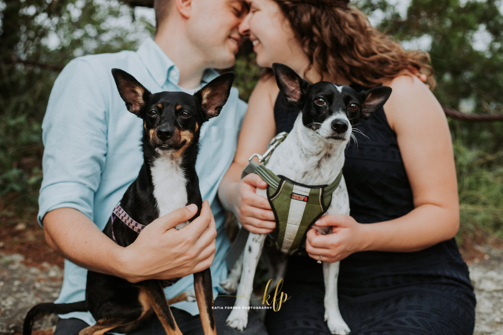 engagement sessions with dogs